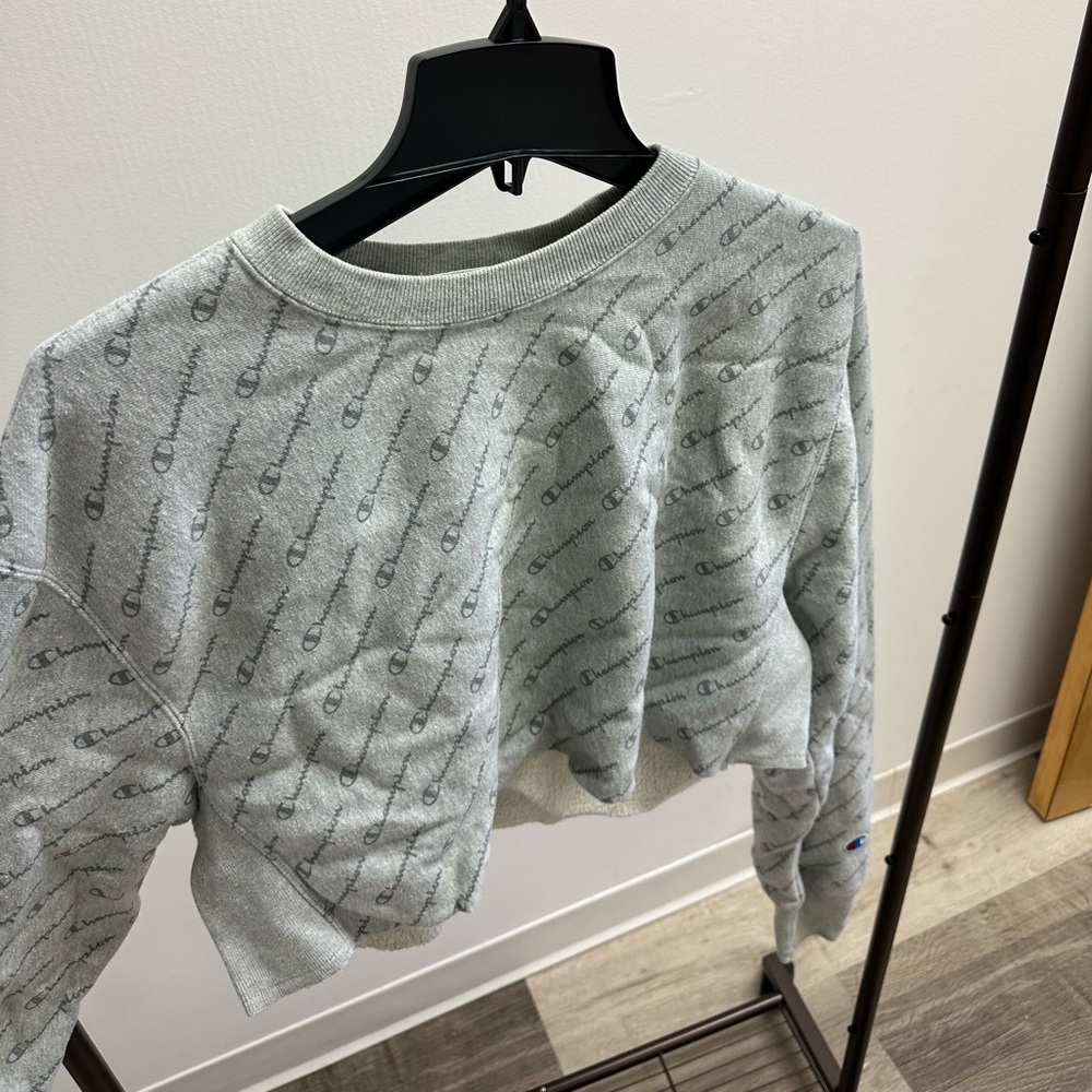 Champion sweatshirt